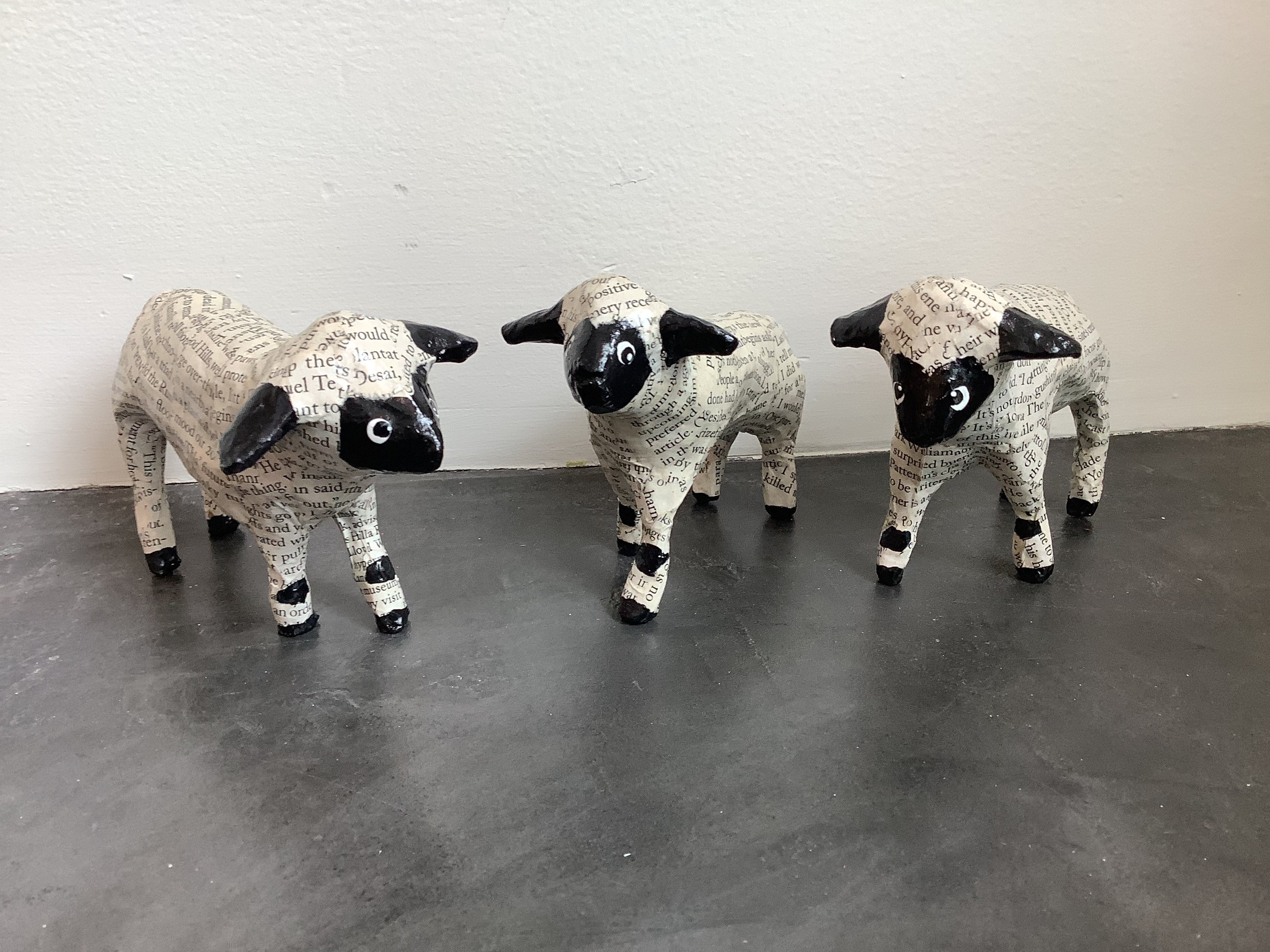 Sheep